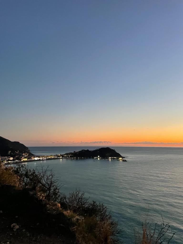 La Vie En Rose Flat Apartment Sestri Levante Ngoại thất bức ảnh
